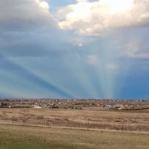 Meet your Posher, Charlene